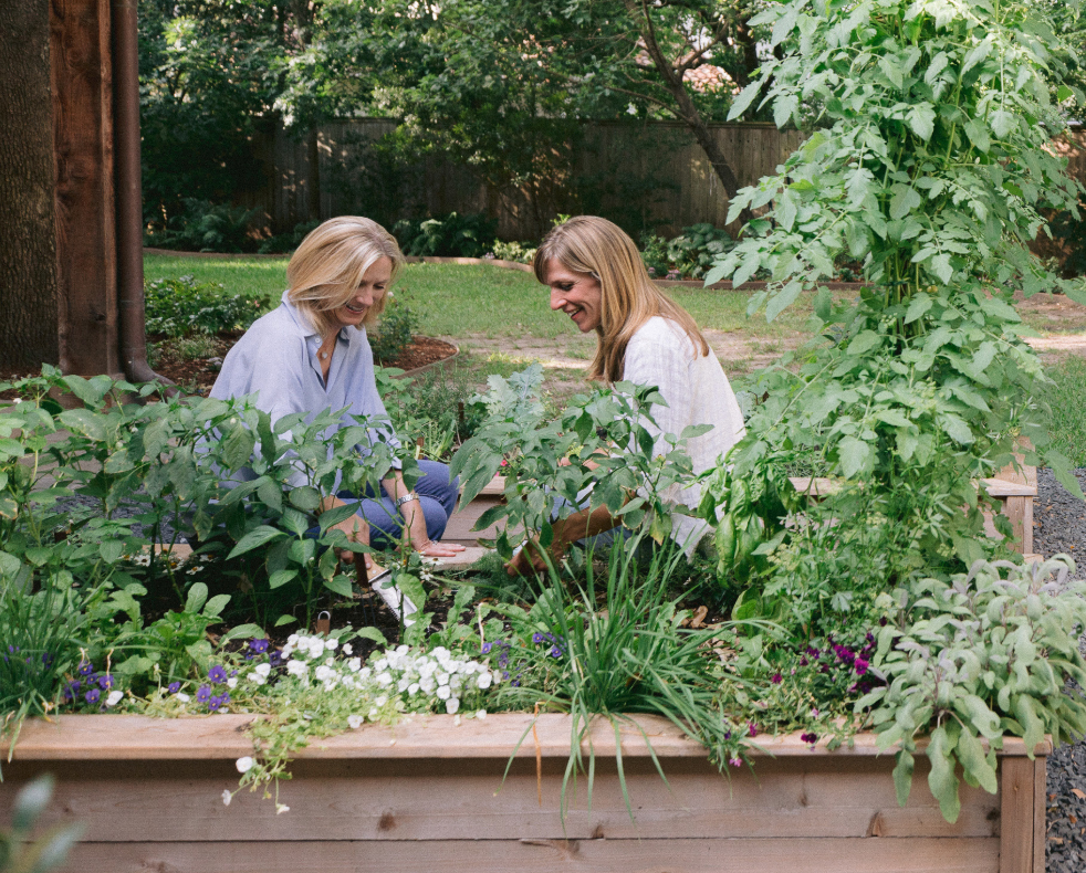 green nook gardens garden coaching session, two moms gardening together in a backyard kitchen garden; one is coaching and the other needs help learning to garden