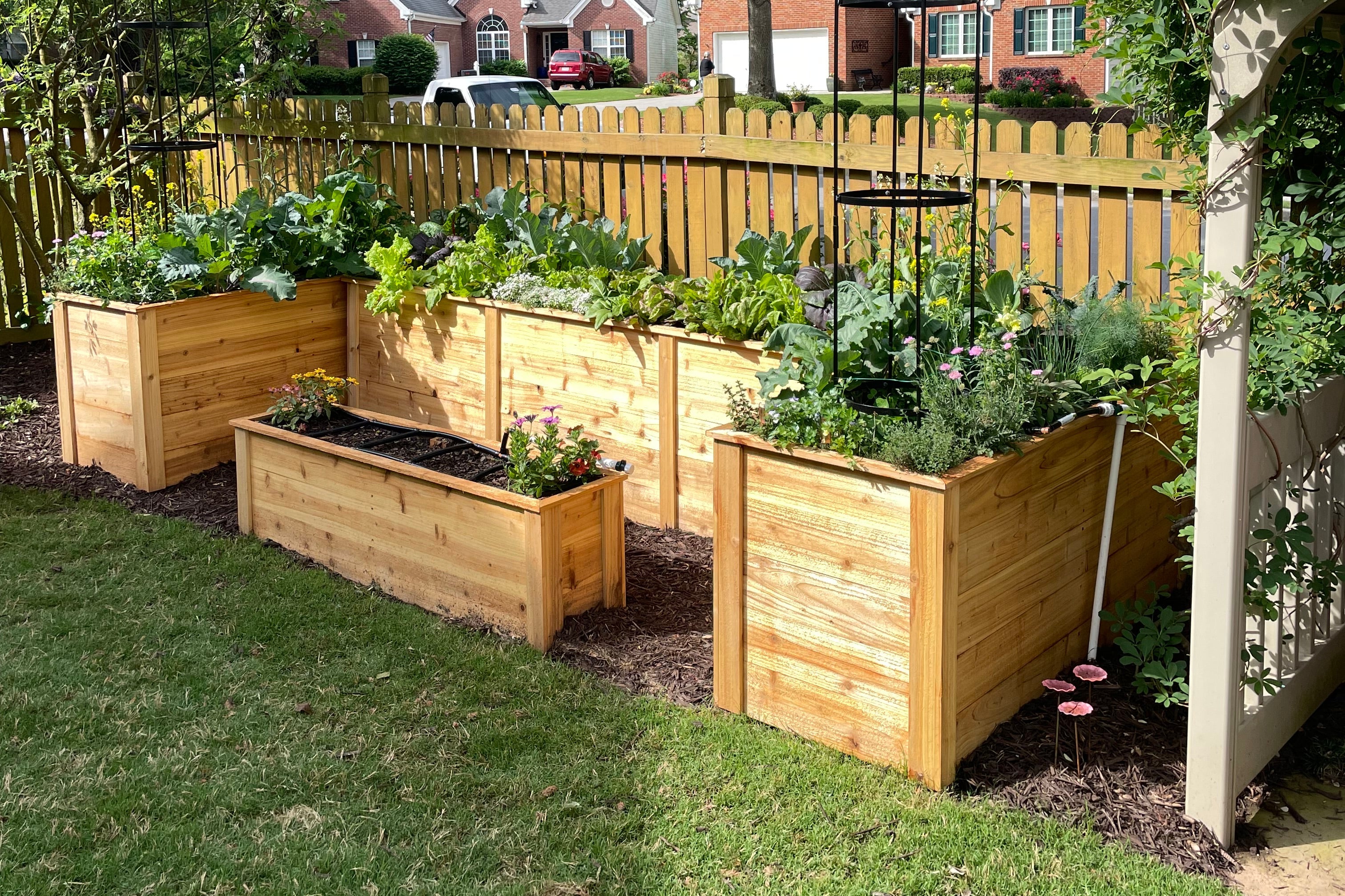 a backyard five minute low maintenance garden in buford ga 