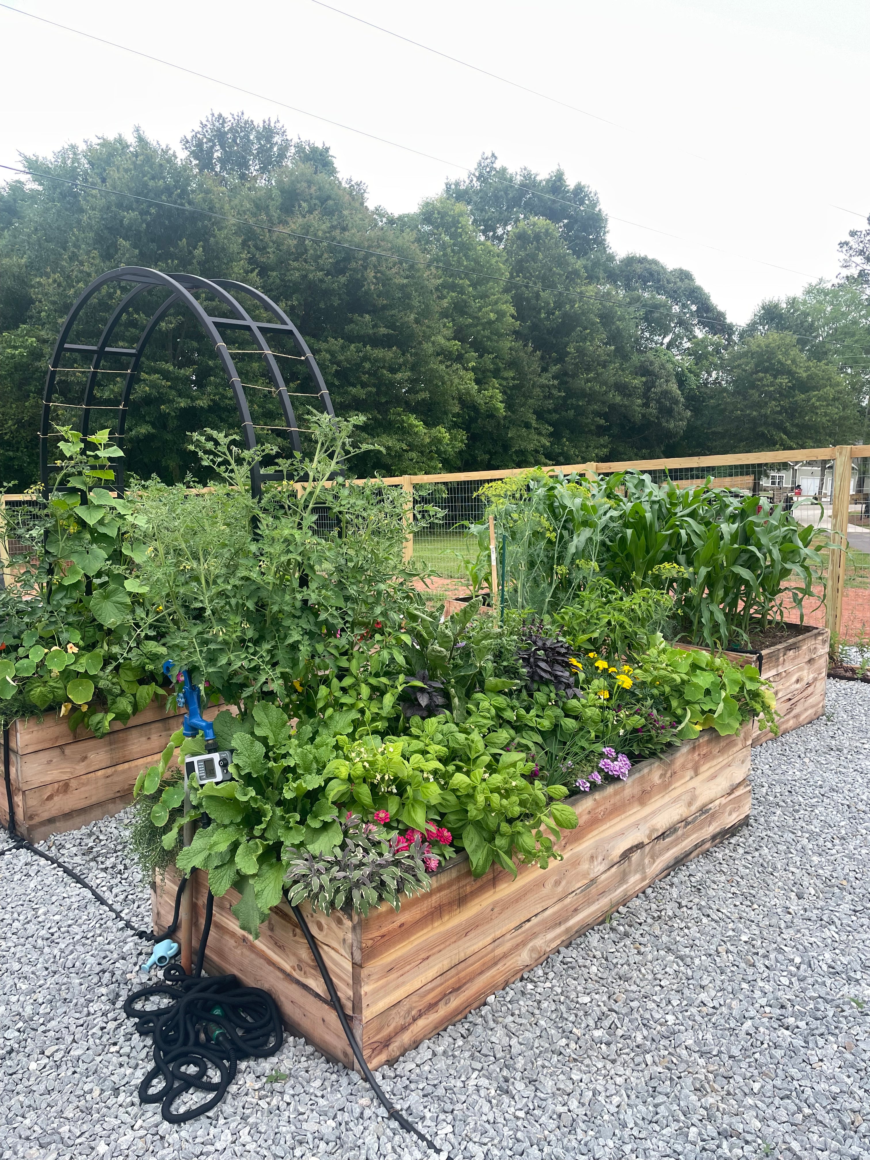 a five minute garden in action in buford georgia area